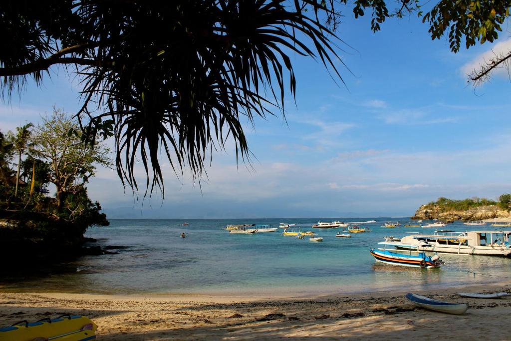 Molamola House Hotel นูซาเลมโบงัน ห้อง รูปภาพ